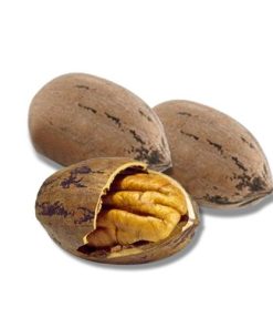 Pecan Nuts